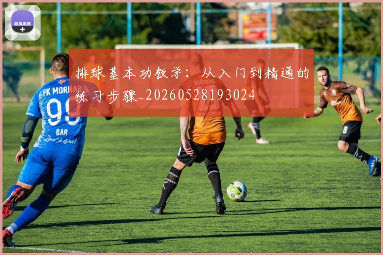 排球基本功教学：从入门到精通的练习步骤_20260528193024